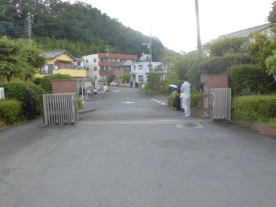 CIMG3310